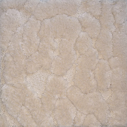 Rug Image 4